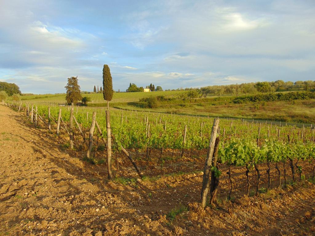 Agriturismo Circugnano Grassina Exterior foto